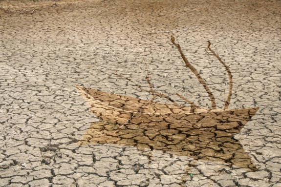 The Sea of pilgrim Antonio - The drought is dreaming of the sea