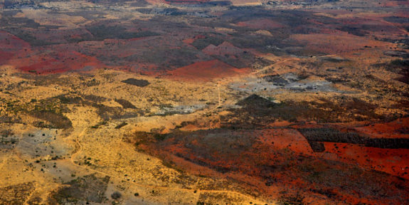 Caatinga